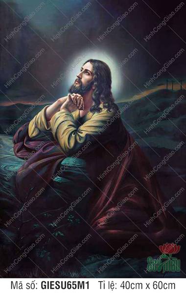 Tranh Ảnh Chúa Jesus - Ảnh Công Giáo GIESU65M1