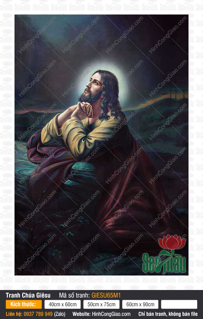 Tranh Ảnh Chúa Jesus - Ảnh Công Giáo GIESU65M1