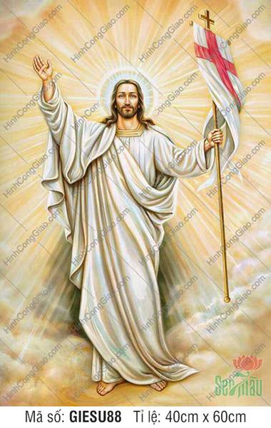 Hình Ảnh Chúa Jesus - Ảnh Công Giáo GIESU88