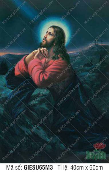 Tranh Thiên Chúa Đẹp Nhất GIESU65M3
